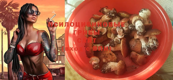 дживик Арсеньев