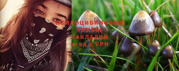 PSILOCYBIN Армянск