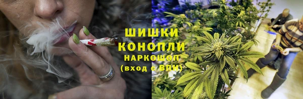 дживик Арсеньев