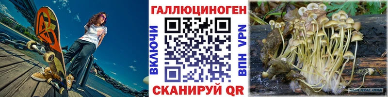 Галлюциногенные грибы Cubensis  сколько стоит  Ясный 